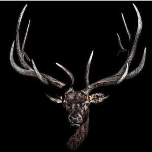 Meet your Posher, Christian